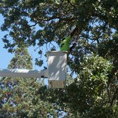 Atlas Tree Service 11 Photos 33 Reviews Landscaping 150 Photo Of Atlas Tree Service Concord Ca United States Long Reach