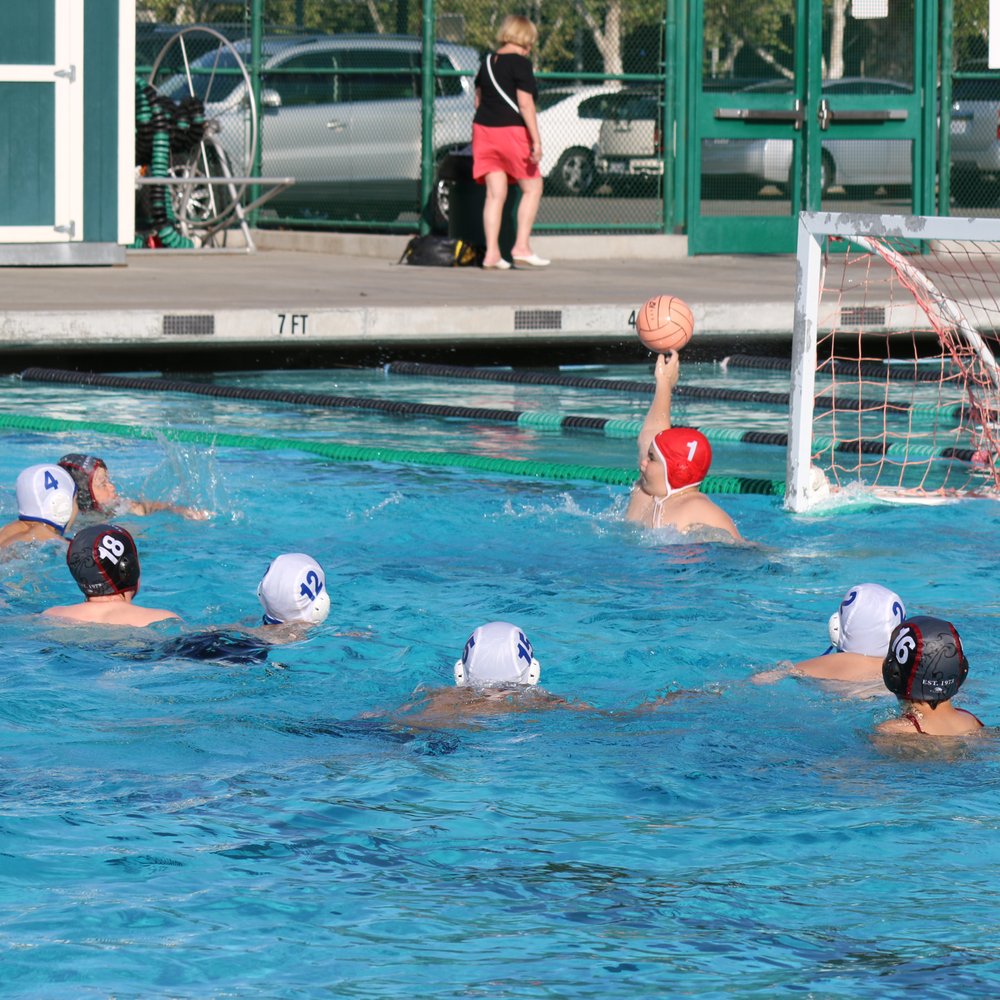 Water Polo Clubs Silicon Valley Yelp