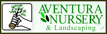 Aventura Nursery Landscape Landscaping 10079 County Line Rd Photo Of Aventura Nursery Landscape Spring Hill Fl United States