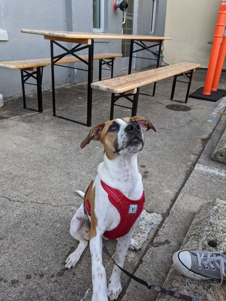 Joymongers Barrel Hall