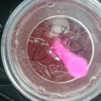 Birthday freebies mesa az