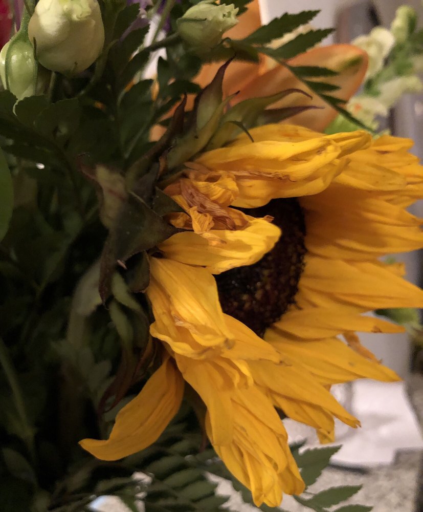 Vidor Florist