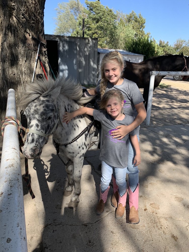 C-Arrow Stables