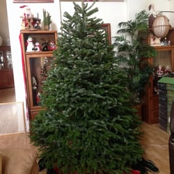tajiri s richard christmas trees 16 photos 12 reviews tajiri s richard christmas trees 16 photos 12 reviews