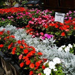 Kauai Nursery Landscaping 14 Photos 16 Reviews Nurseries Photo Of Kauai Nursery Landscaping Lihue Hi United States