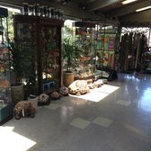 Blue Hills Nursery & Gift Shop - 191 Photos & 48 Reviews - Nurseries