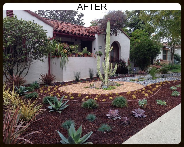 AFTER - Desert landscape design: Mulch, California Native ...