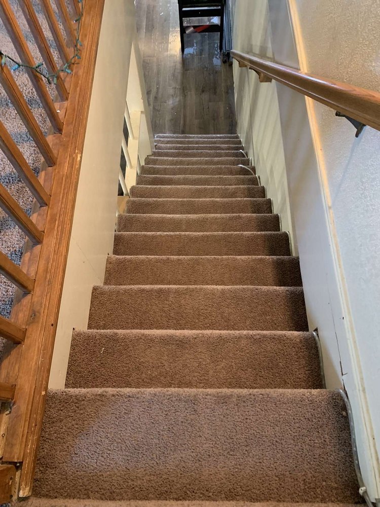 Dry Carpet Plus