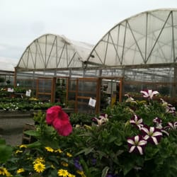 Chapman S Greenhouse Nurseries Gardening 14002 Ne 117th Ave Photo Of Chapman S Greenhouse Vancouver Wa United States