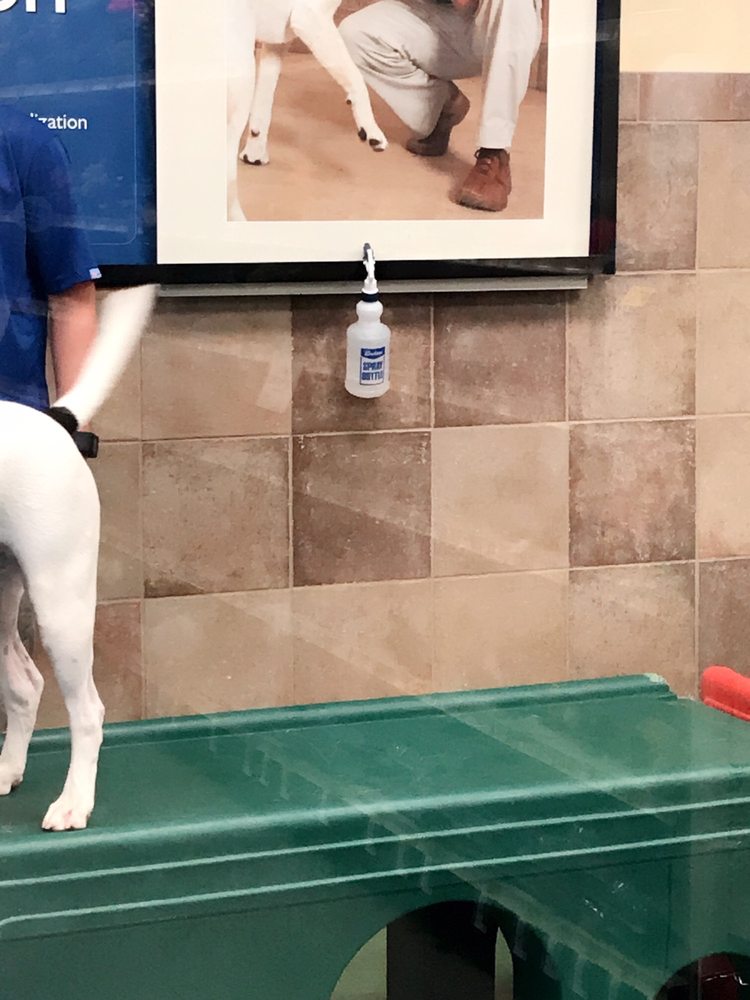 PetSmart