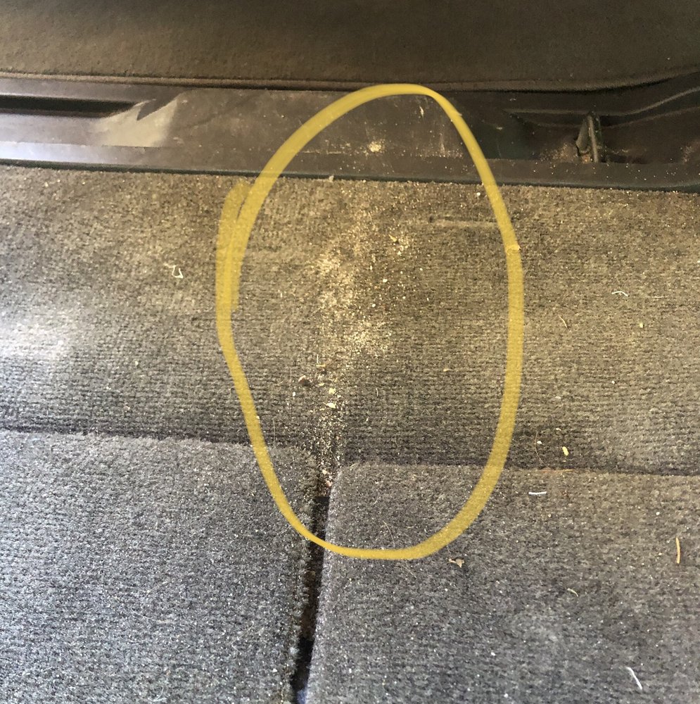 Glenside Auto Spa