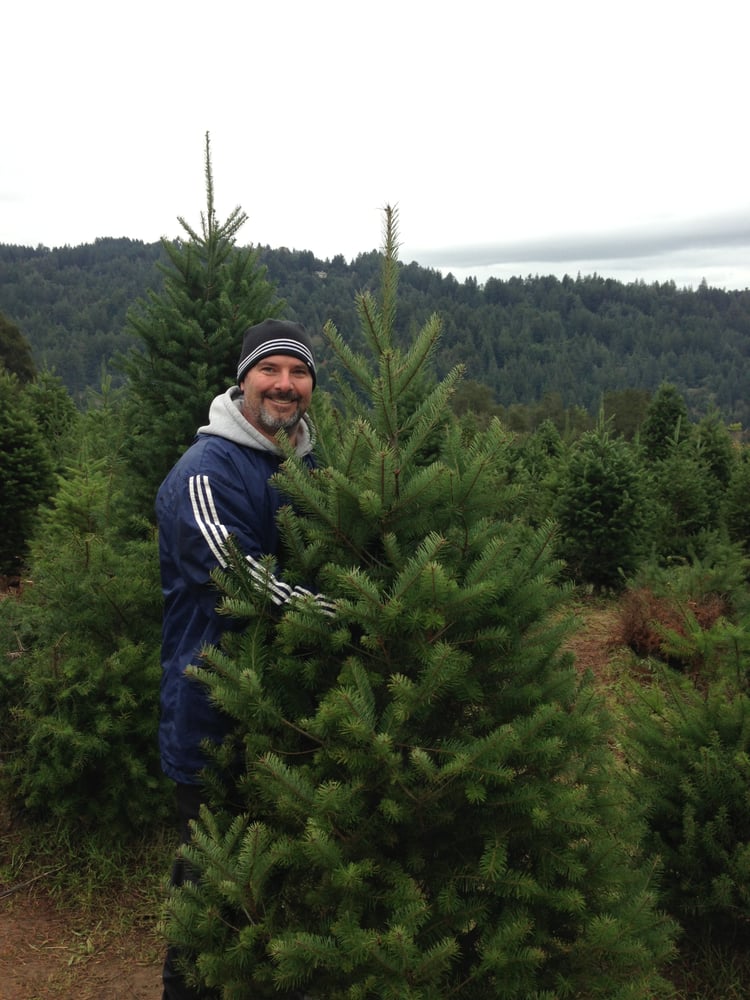 photos for summit christmas tree farm yelp photos for summit christmas tree farm yelp