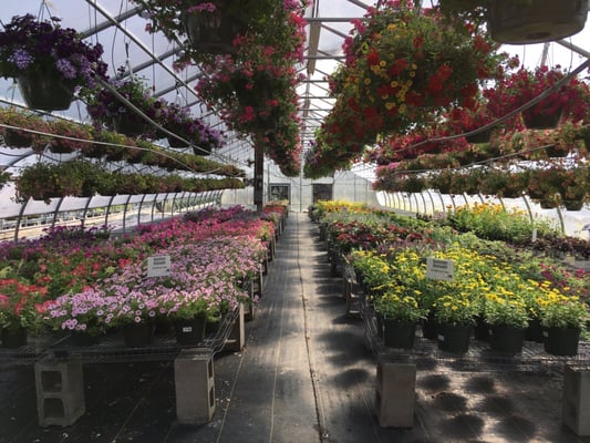 Shady Hill Greenhouse Nursery 1 Adams Rd Londonderry Nh Nurseries Shady Hill Greenhouse Nursery 1 Adams Rd Londonderry Nh Nurseries Mapquest