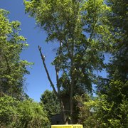 J F Tree Service Inc 29 Photos 59 Reviews Services Photo Of J F Tree Service Inc Beaverton Or United States