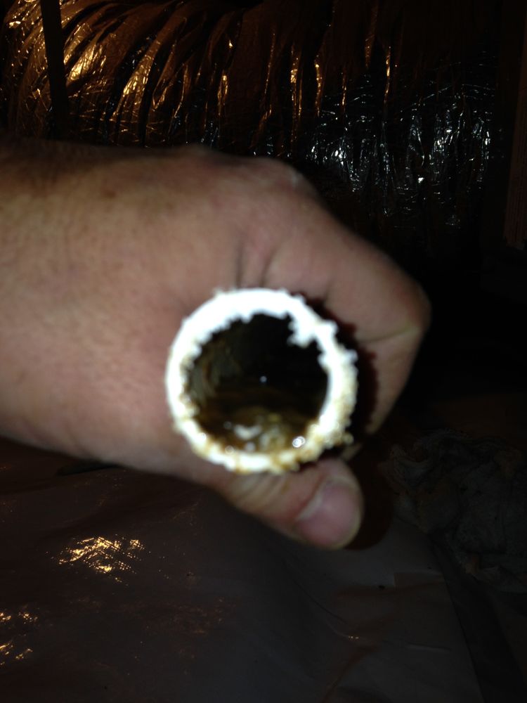 Carolina Crawlspace Pros