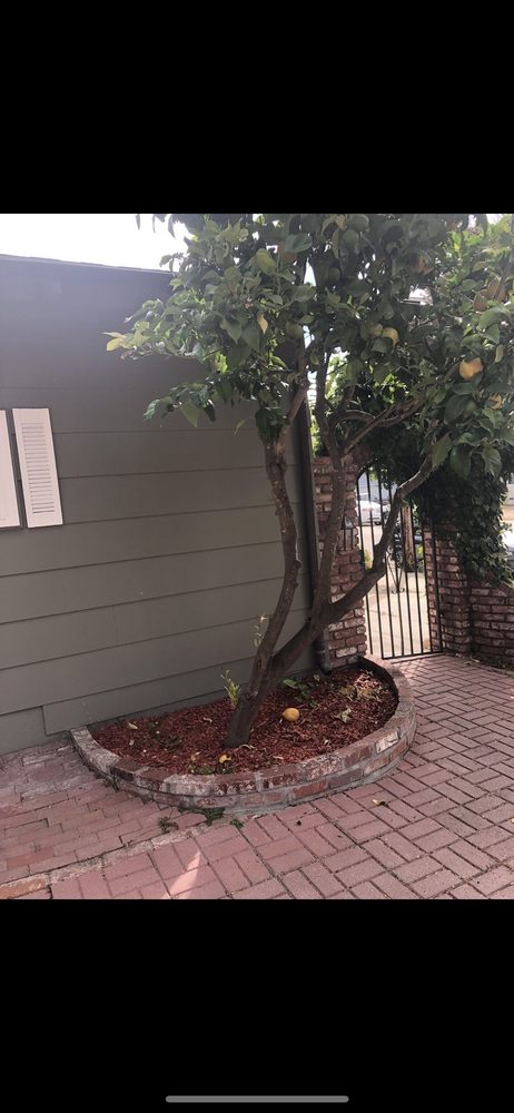 Andres Landscaping