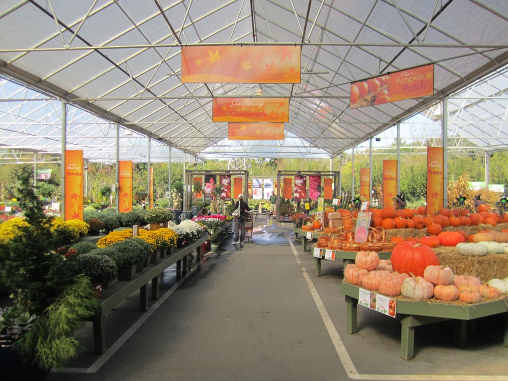 Pike Nurseries 20 Photos & 18 Reviews Nurseries & Gardening 12630