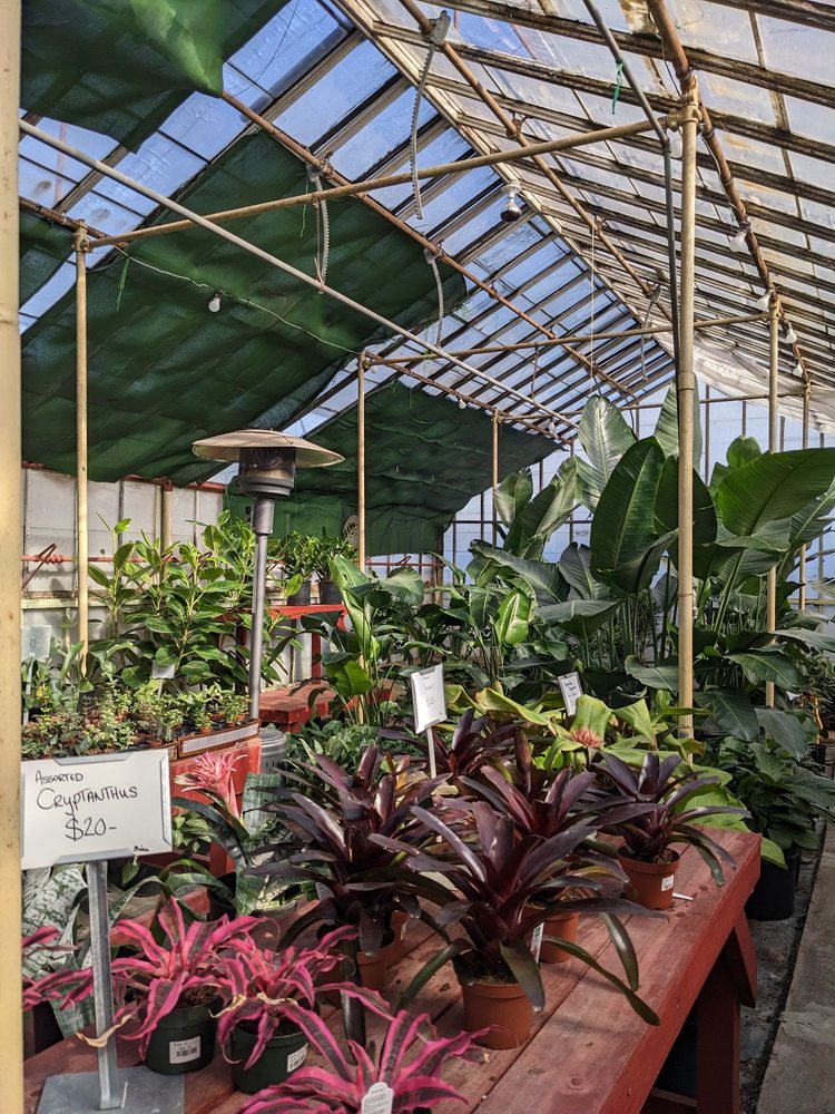 Evergreen Garden