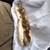 Best Cheesesteaks in Virginia Beach