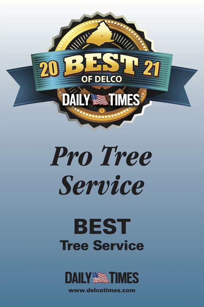 Pro Tree Services