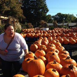 best apple picking in cumberland ri last updated december 2018 yelp