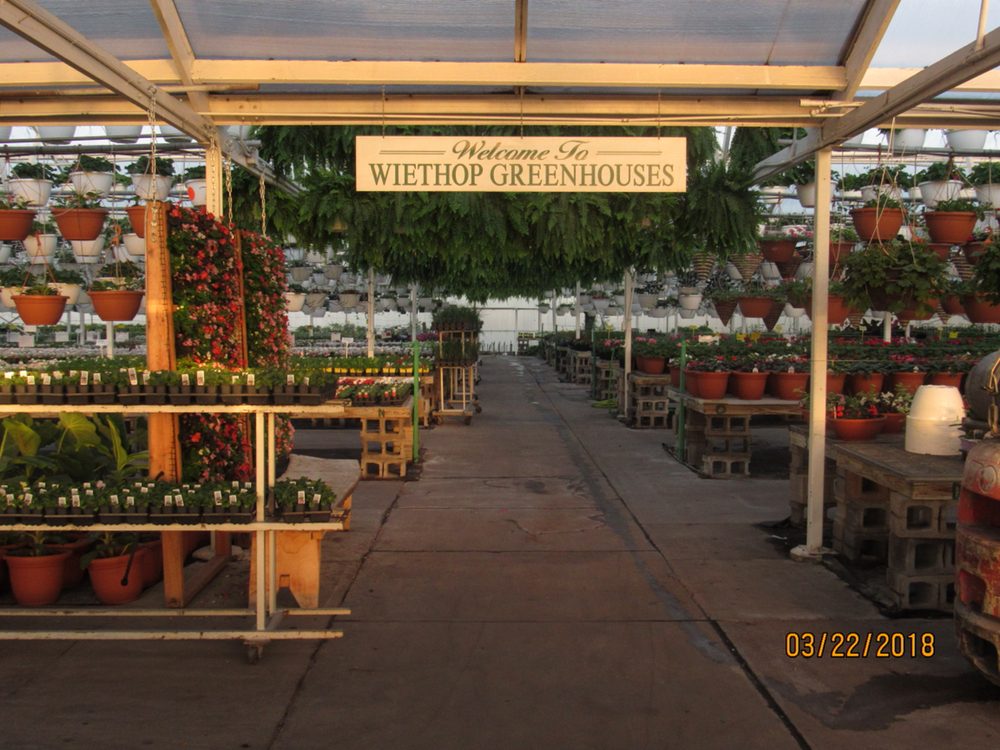 Wiethop Greenhouses South County 19 Photos Nurseries Gardening Wiethop Greenhouses South County 19 Photos Nurseries Gardening 6129 Lemay Ferry Rd St Louis Mo Phone Number Yelp