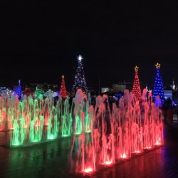 Tampa S Tree Lighting Ceremony 16 Photos Festivals 600 Tampa S Tree Lighting Ceremony 16 Photos Festivals 600