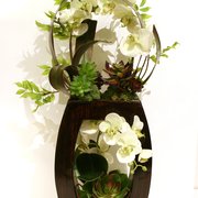 California Silk Plant Company Home Decor 27781 B La Paz Rd Photo Of California Silk Plant Company Laguna Niguel Ca United States