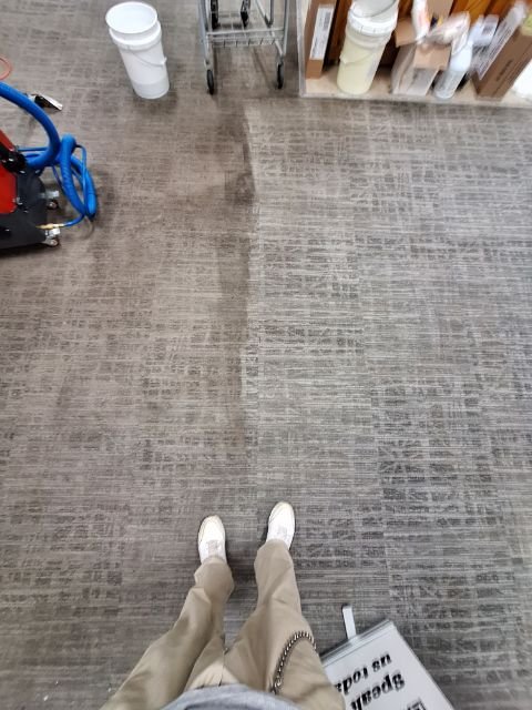 All Rugs Look Great