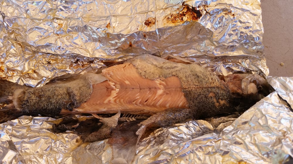 Rainbow Trout Farm 66 Photos & 54 Reviews Fishing 3500 N St Rt