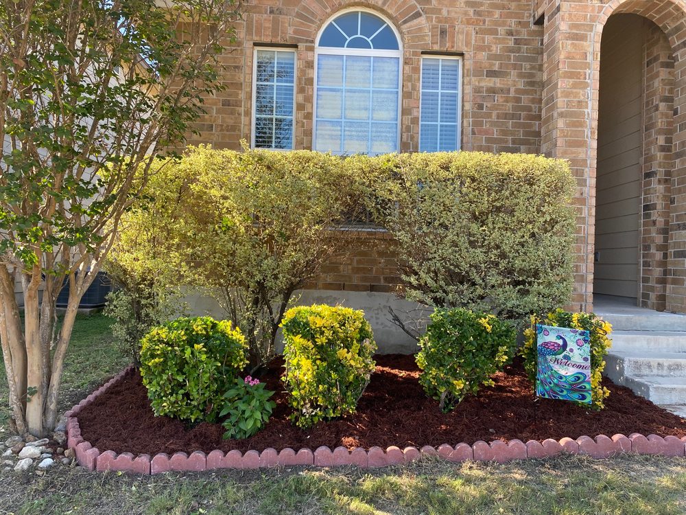 J Lozano Lawn Services