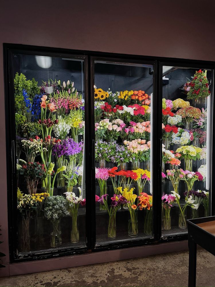 PlantShed New York Flowers