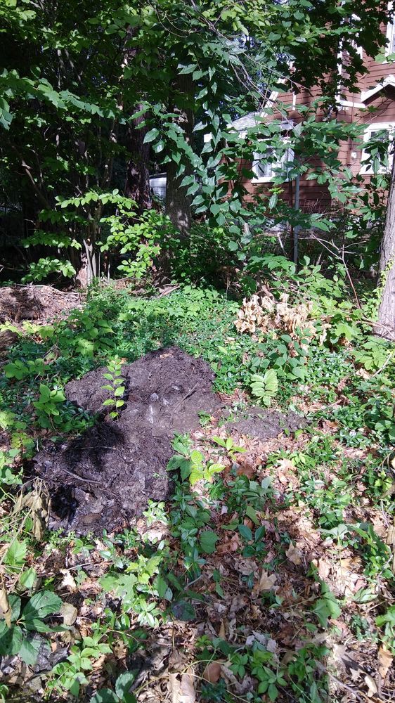 image of business A S Crisafulli Plumbing & Heating