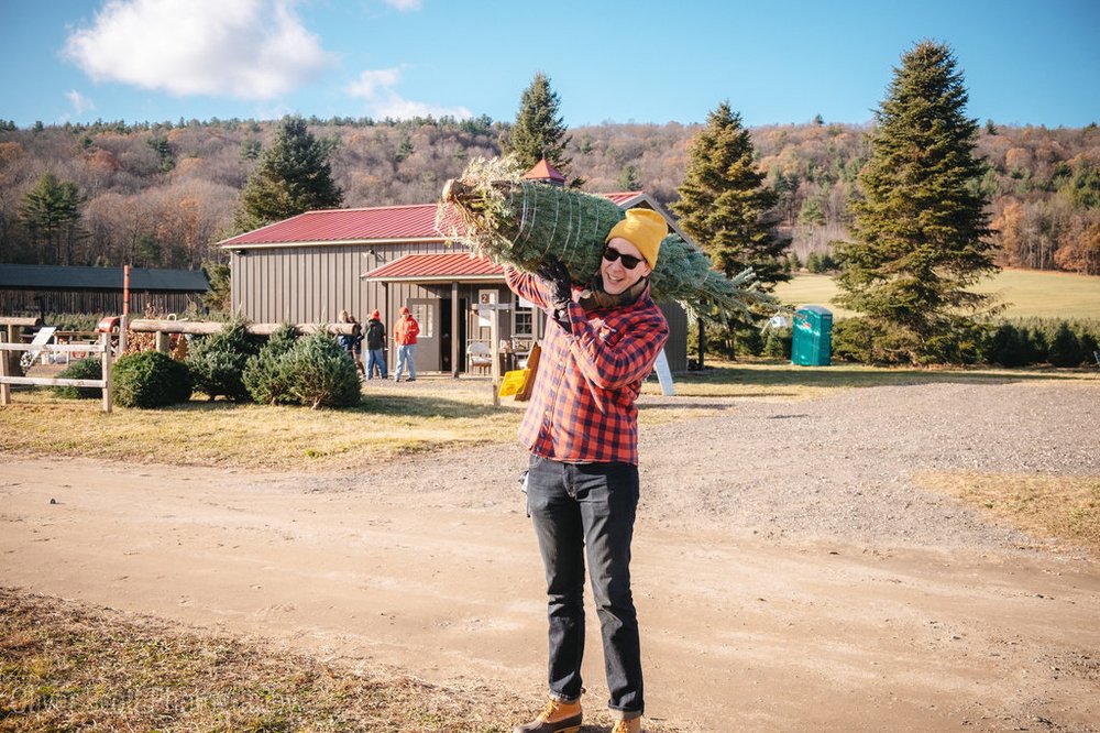 chestnut mountain christmas tree farm 30 photos sapins chestnut mountain christmas tree farm 30 photos sapins