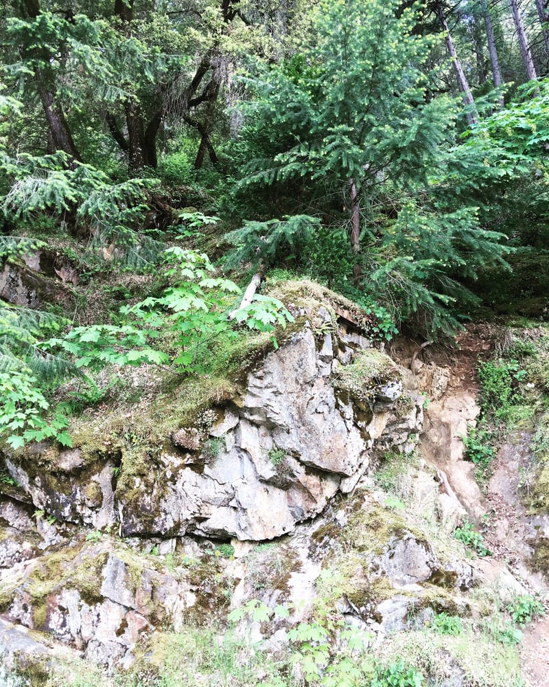 Bridal Veil Falls 53 Photos & 14 Reviews Hiking Highway 50