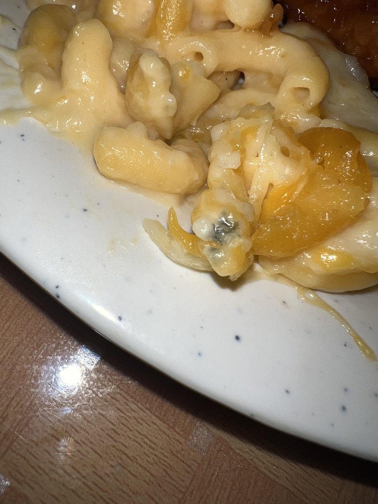 Daily Buffet & Grill