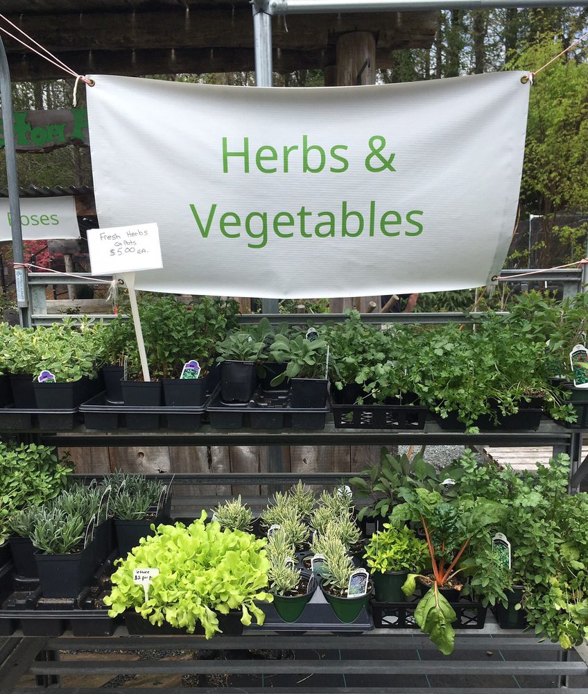 Shouse Nursery Retail Outlet