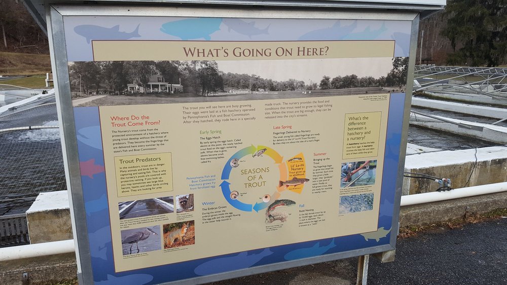 Allentown Fish Hatchery 35 Photos & 17 Reviews Local Flavor 2901