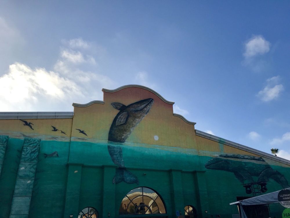 Kaaboo