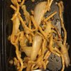 Lin's Asian Cafe