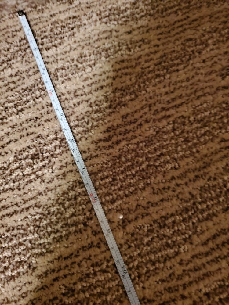 image of business Carpet Collection