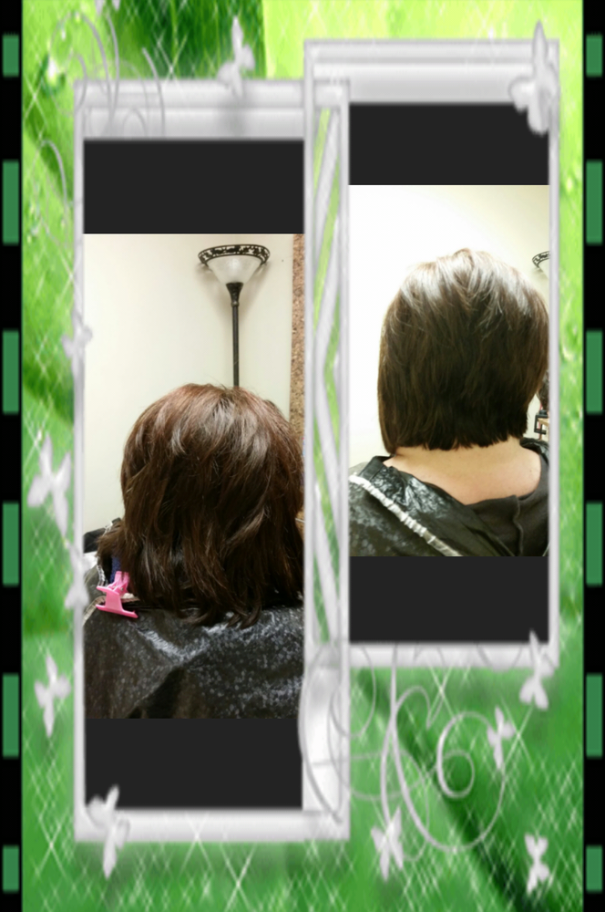 Four Seasons Hair And Nail Spa Greenville Sc Four Seasons Hair And Nail Spa Greenville Sc