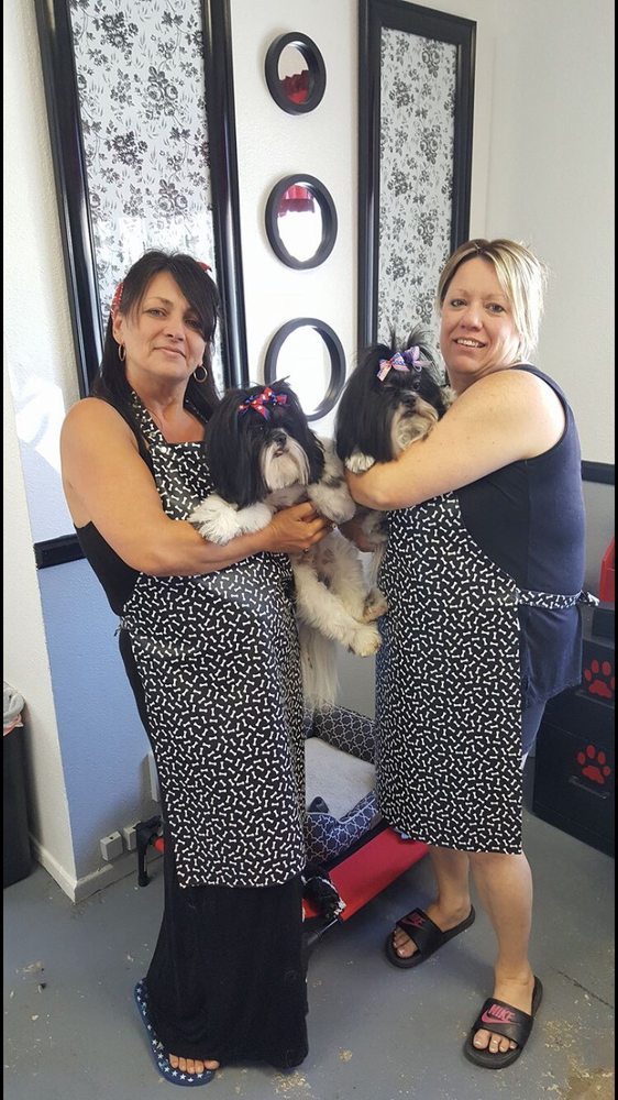 Suzie Q Canine Grooming Spa 18 Photos Pet Groomers 858 Topaz Ave