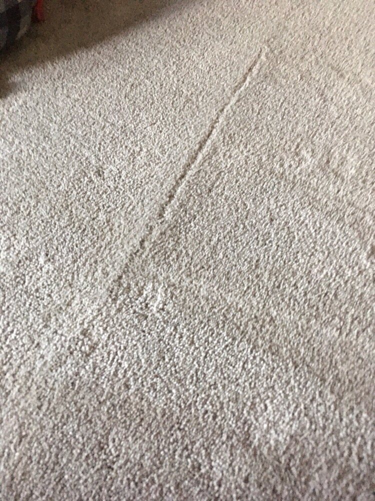 Bucks County Carpet & Floor