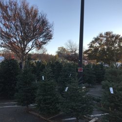 Morning Glory Farm Christmas Trees Temp Closed 6900