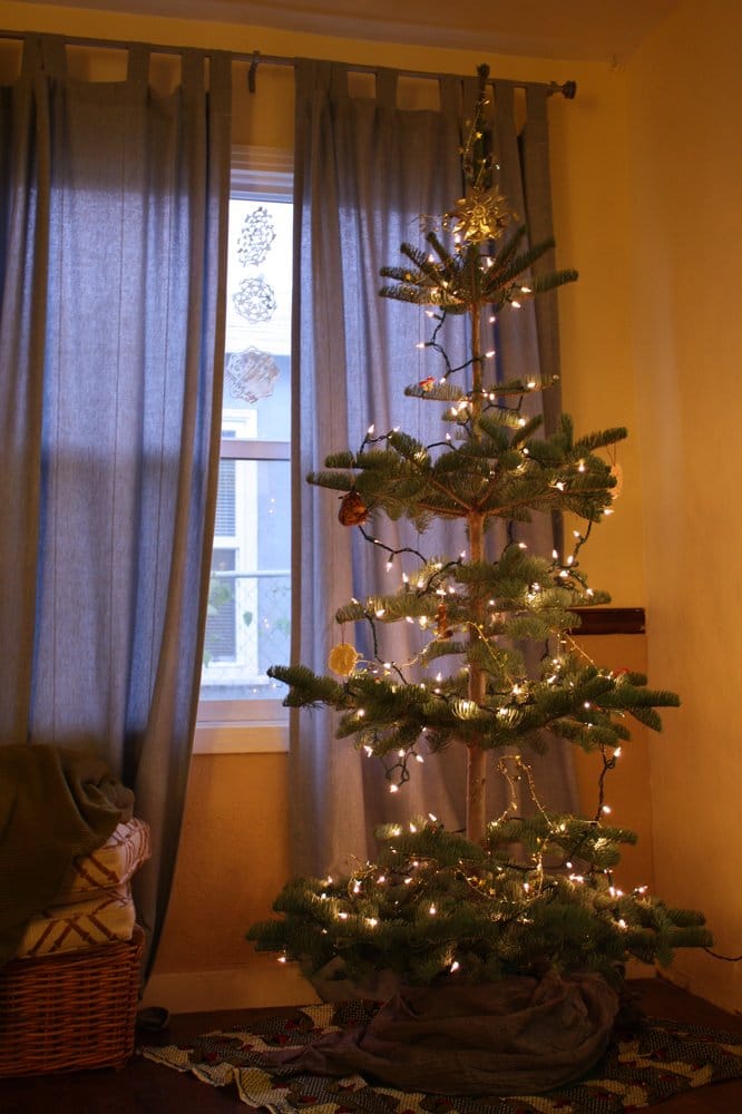 Fox Christmas Trees - CLOSED - Home & Garden - 6630 4th Ave Fox Christmas Trees - CLOSED - Home & Garden - 6630 4th Ave, Sacramento, CA - Phone Number - Last Updated February 2, 2019 - Yelp - Fox Christmas Trees - CLOSED - Home & Garden - 6630 4th Ave