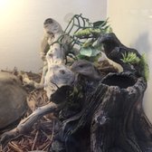 Arizona Reptile Center - 25 Photos & 42 Reviews - Pet Stores - 2025 W