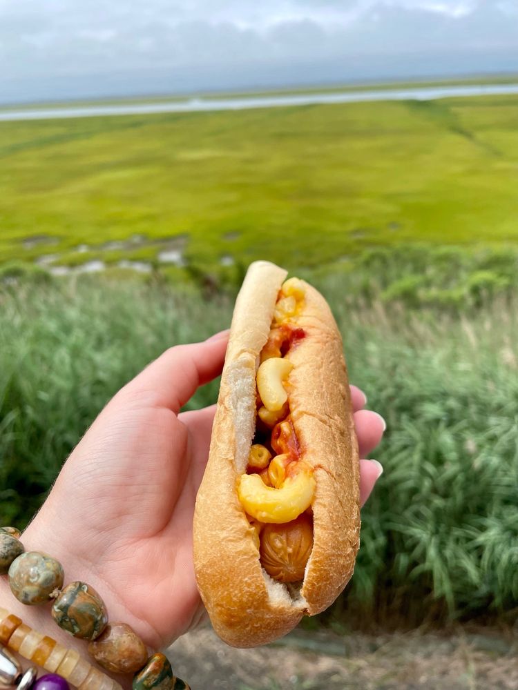 LouDogs LouDogs