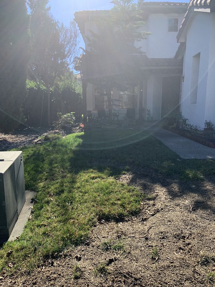 Natural Green Gardening