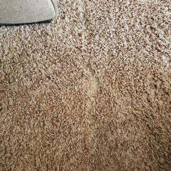 empire carpet reviews empire carpet coupon best cars empire carpet reviews empire carpet coupon best cars